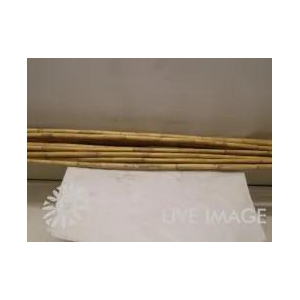 Deco dried bamboo bleached 200cm