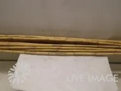 <h4>Deco dried bamboo bleached 200cm</h4>