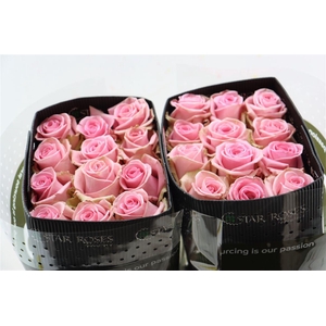 R Gr Sweet Cake