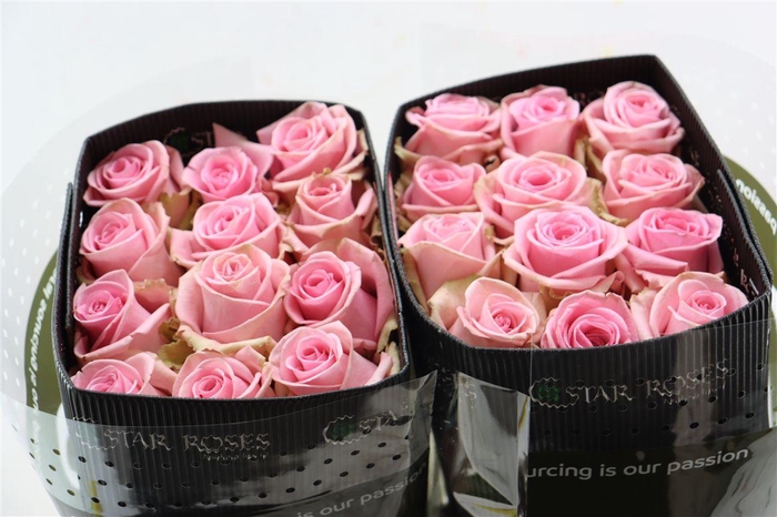 <h4>R Gr Sweet Cake</h4>