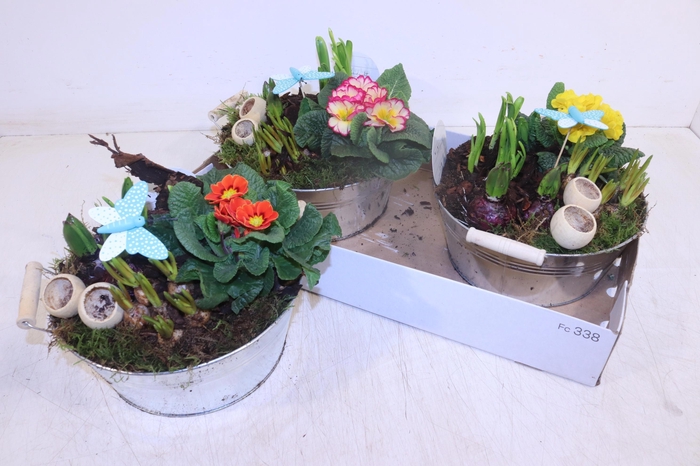 <h4>ARR PL IN SCHAAL</h4>