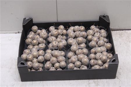 <h4>F-malusappel Glitter Goud</h4>