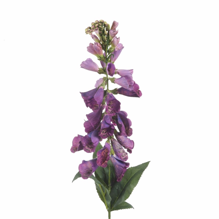 AF Digitalis L96cm Lilac