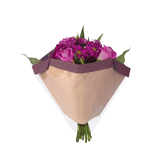 <h4>Hoes 27x44Â½x11cm OPP30/45gr kraft Piccolo paars 250/doos</h4>