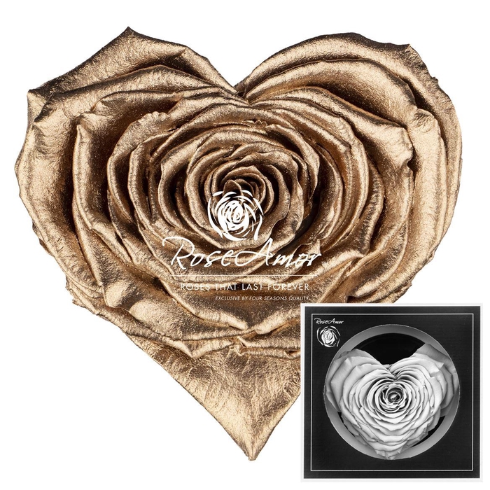 <h4>Corazon Metallic Gold</h4>