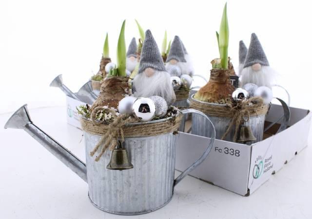 <h4>ARR BOL KNOLGEWAS</h4>