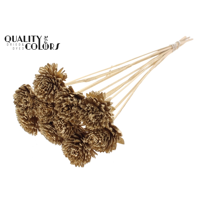 <h4>Shola Zinia 6cm on stem Antique Gold</h4>