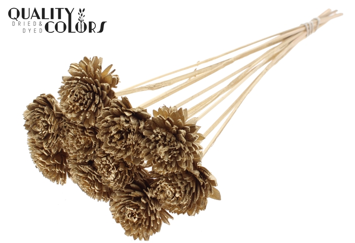 Shola Zinia 6cm on stem Antique Gold