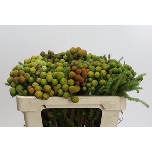 Cape Green Baubles