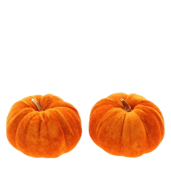 <h4>Autumn Deco pumpkin 10cm x2</h4>