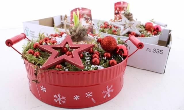 <h4>ARR BOL KNOLGEWAS</h4>