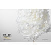 Dried Bleached Hydrangea Anna Blue