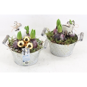 arr4 Hyacint JS - Zink teil handvat