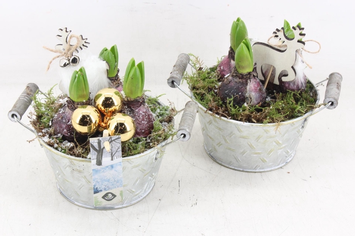 <h4>arr4 Hyacint JS - Zink teil handvat</h4>