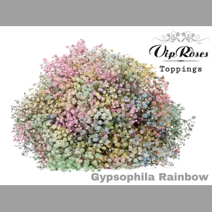 GYPS PA RAINBOW PASTEL