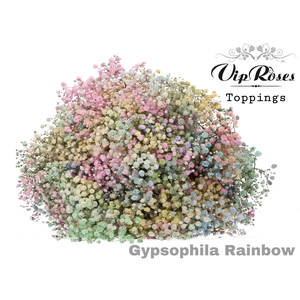 GYPS PA RAINBOW PASTEL