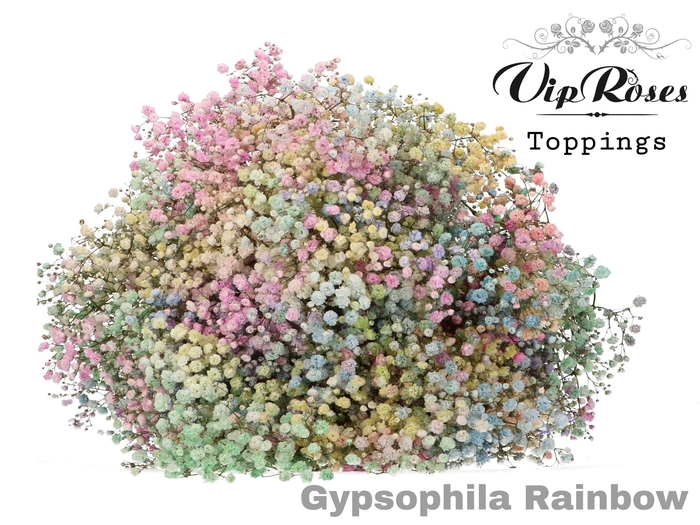 Gyps Pa Vip Rainbow Pastel