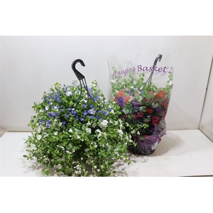 Hanging Baskets