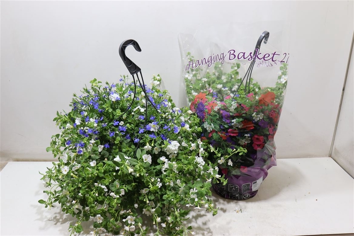 <h4>Hanging Baskets</h4>