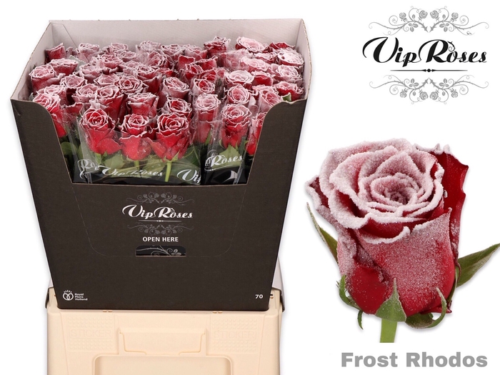 R GR FROST RHODOS