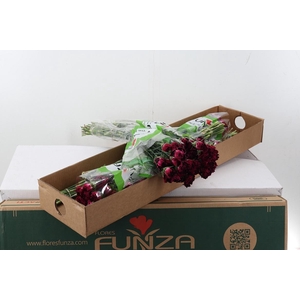 Di St Nobbio Black Heart Box