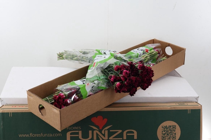 <h4>Di St Nobbio Black Heart Box</h4>