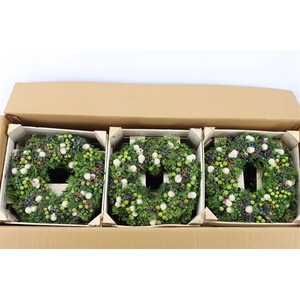 Wr Sierfruit De Luxe Green 30cm
