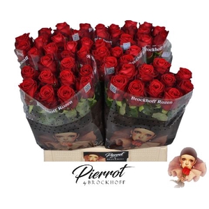 Rozen Red Naomi