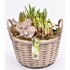 Wilg mand grijs met oor 23cm