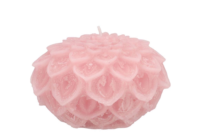 <h4>Candle Dahlia Light Pink 12x8cm Nm</h4>