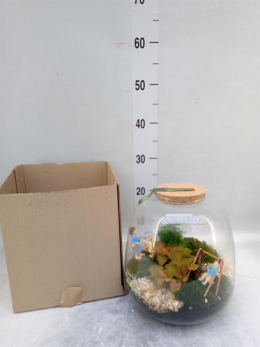 <h4>Arr.    Planten  H%</h4>