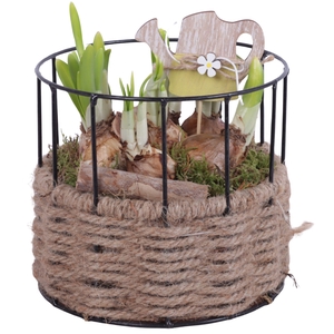Bulbs Arr. Narcis Metal Frame Rope Pot Round Ø17cm