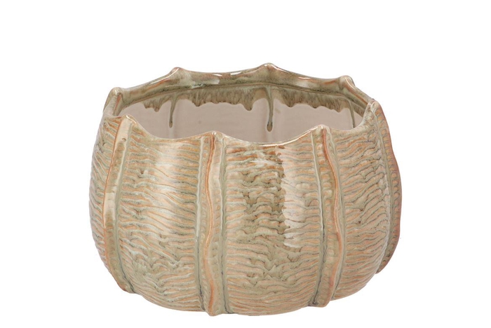 <h4>Sifan Green Pot Structure 17x17x10cm</h4>