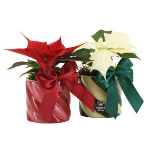 61771: X-mas arrangement