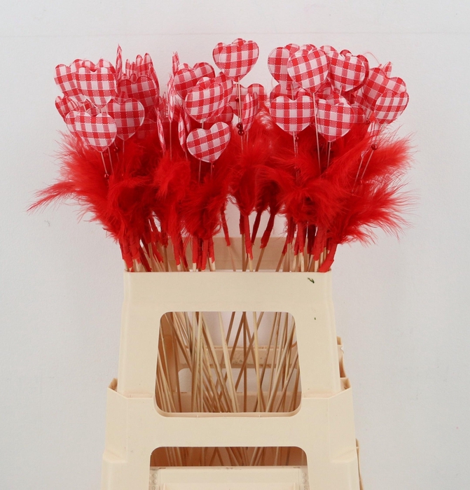 <h4>HARTJE OP STOK H%</h4>