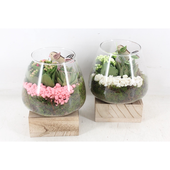 <h4>Arr2 Pl - Glas Konisch Hout - Roze/wit</h4>