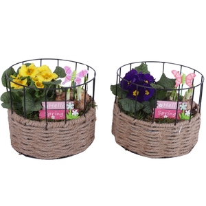 Early Spring Arr. Outdoor Metal Frame Rope Pot Round Ø21cm 2PP