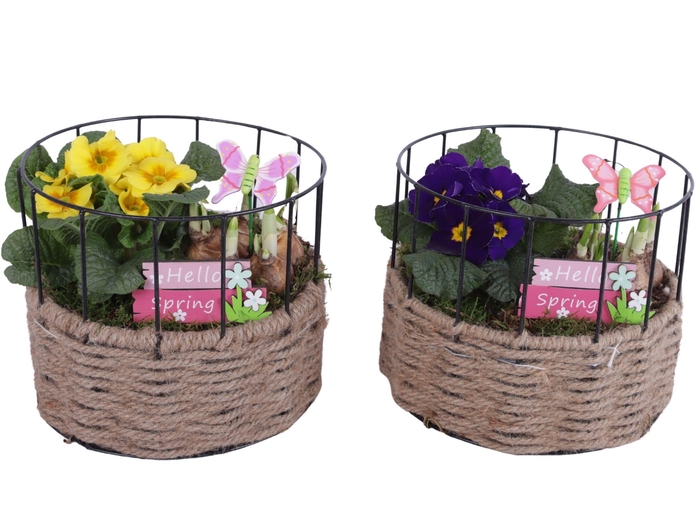 <h4>Early Spring Arr. Outdoor Metal Frame Rope Pot Round Ø21cm 2PP</h4>