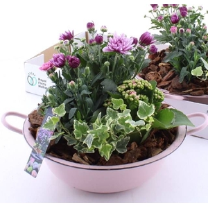 ARR TUINPLANTEN