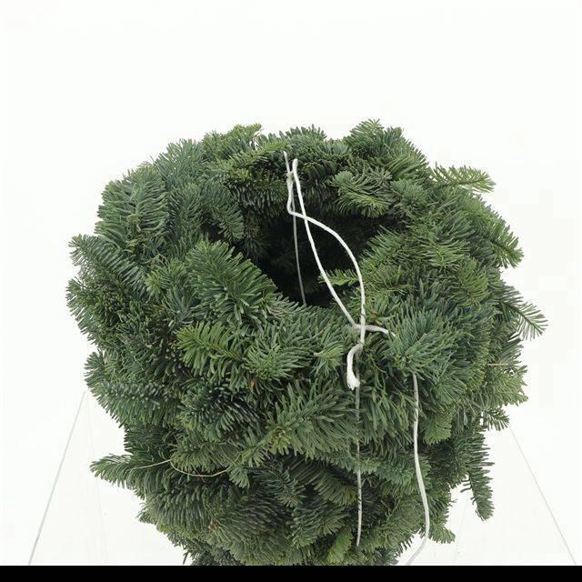 <h4>NOBILIS-KRANS H%</h4>