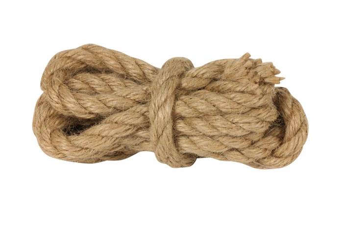 Rope Thick L200D1