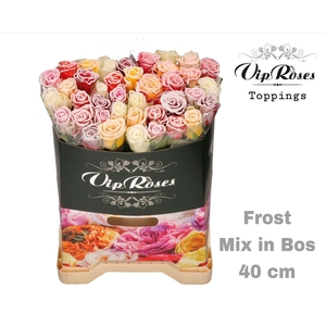 R GR FROST MIX IN BOS