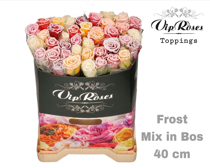 <h4>R GR FROST MIX IN BOS</h4>