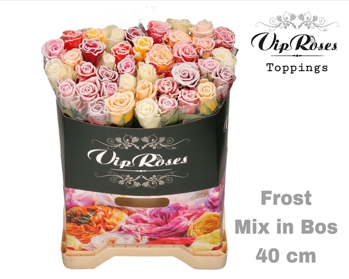 <h4>R Gr Vip Frost Mix In Bos</h4>