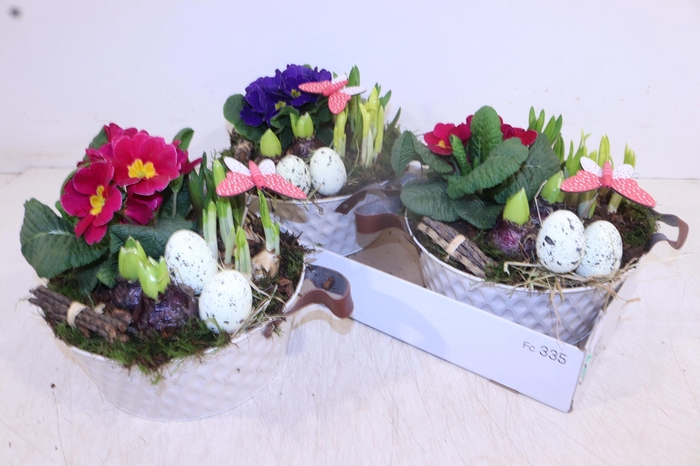 <h4>ARR TUINPLANTEN</h4>