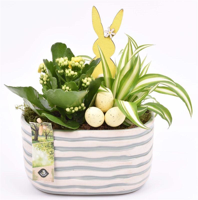 <h4>Keramiek ovaal golf 18x10.5cm</h4>