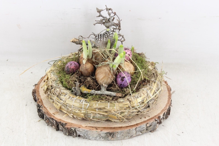 <h4>arr4 Narcis PL - Hout schijf krans Los</h4>