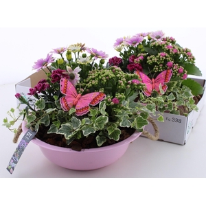 ARR TUINPLANTEN