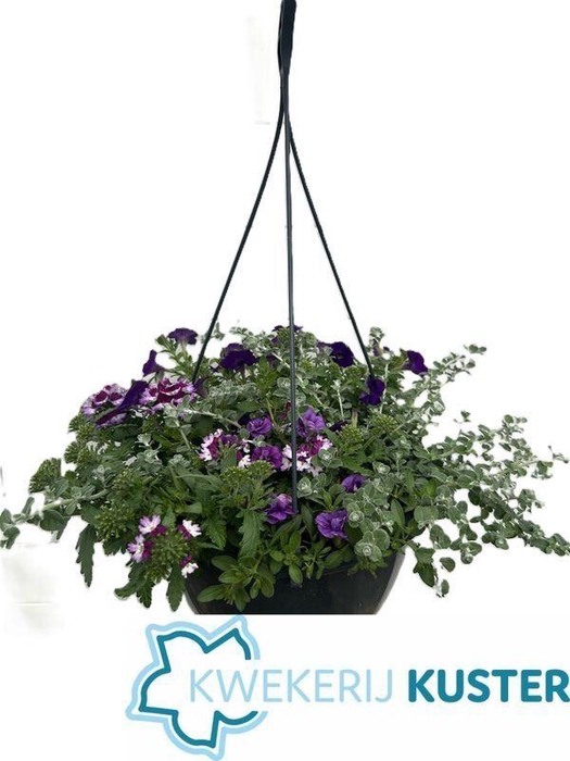 <h4>HANGING BASKETS</h4>