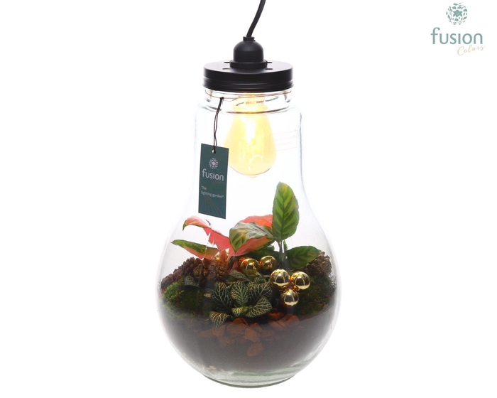 <h4>Glas Terrarium XXL met verlichting met Kerst Arrangement</h4>